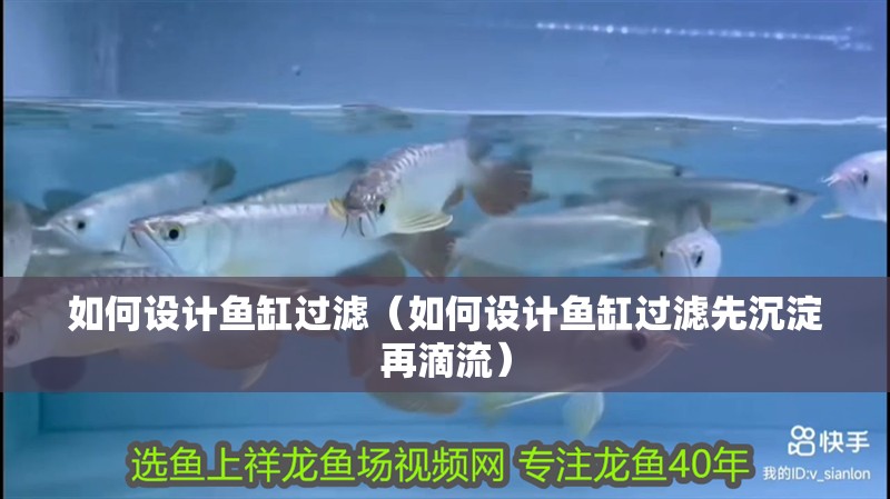 如何設計魚缸過濾（如何設計魚缸過濾先沉淀再滴流）