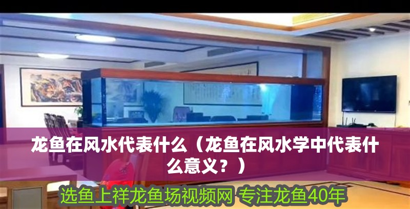 龍魚在風水代表什么（龍魚在風水學中代表什么意義？）