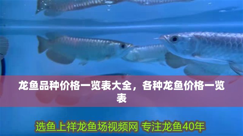 龍魚品種價(jià)格一覽表大全，各種龍魚價(jià)格一覽表