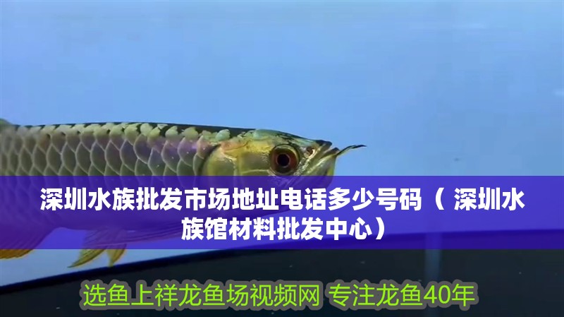 <strong><mark>深圳</mark></strong>水族批發市場地址電話多少號碼（ <strong><mark>深圳</mark></strong>水族館材料批發中心）