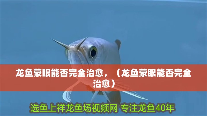 龍魚蒙眼能否完全治愈，（龍魚蒙眼能否完全治愈）