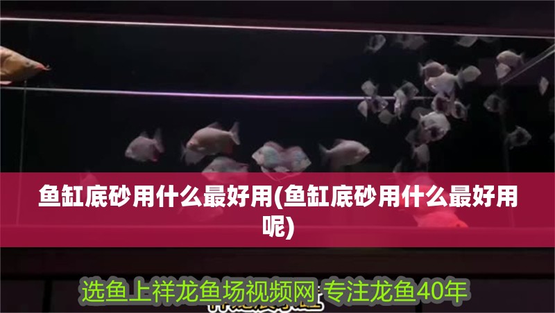 魚缸底砂用什么最好用(魚缸底砂用什么最好用呢)