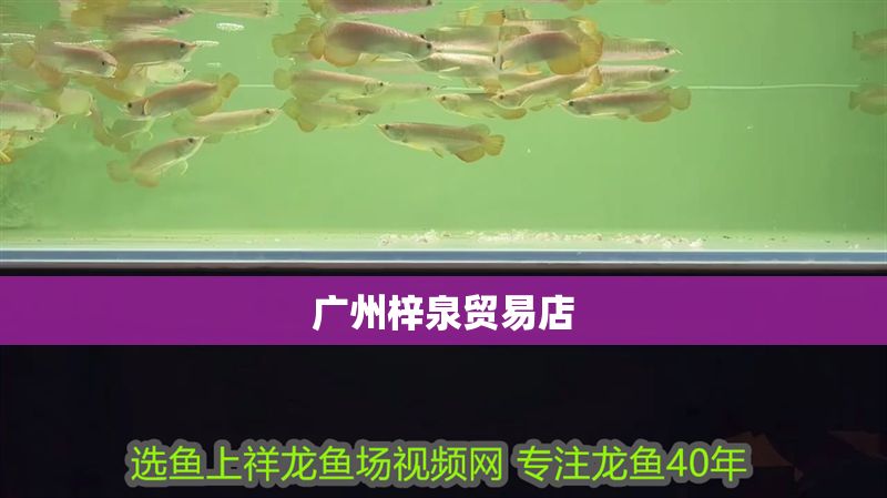 廣州梓泉貿易店