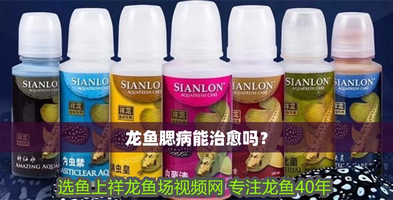 龍魚腮病能治愈嗎？