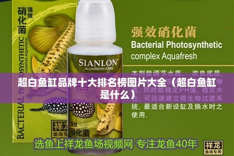 超白魚缸品牌十大排名榜圖片大全（超白魚缸是什么）