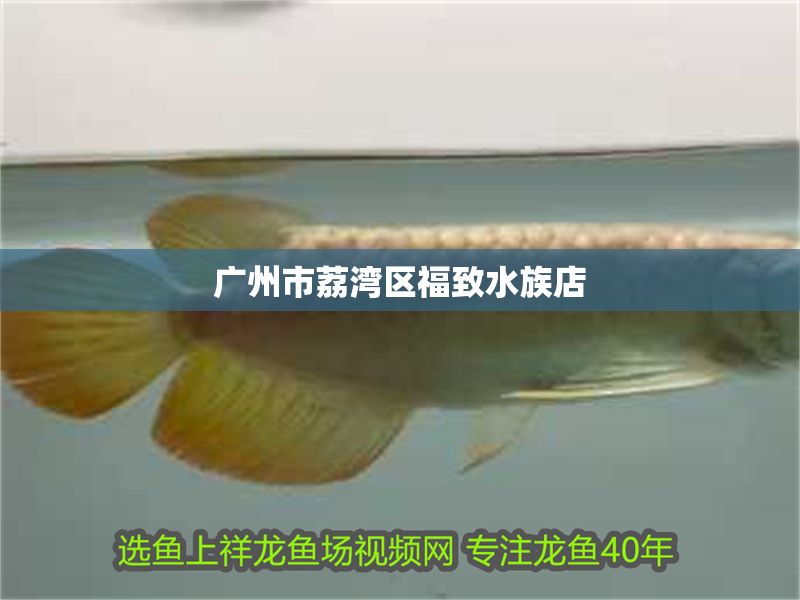 廣州市荔灣區福致水族店