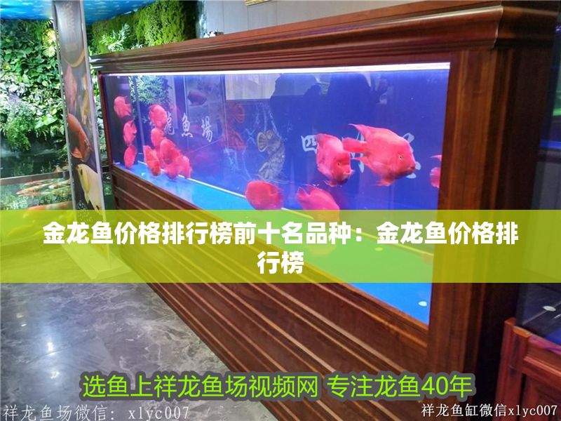 金龍魚價格排行榜前十名品種：金龍魚價格排行榜