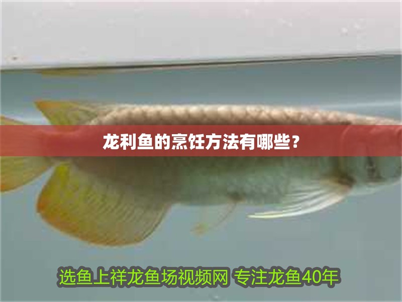 龍利魚的烹飪方法有哪些？