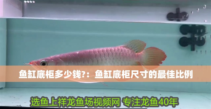 魚缸底柜多少錢?：魚缸底柜尺寸的最佳比例