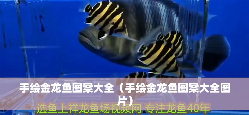 手繪金龍魚圖案大全（手繪金龍魚圖案大全圖片）