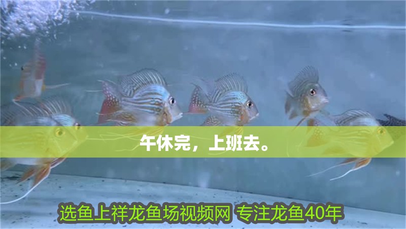 午休完，上班去。