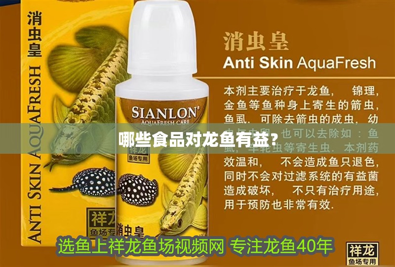 哪些食品對龍魚有益？