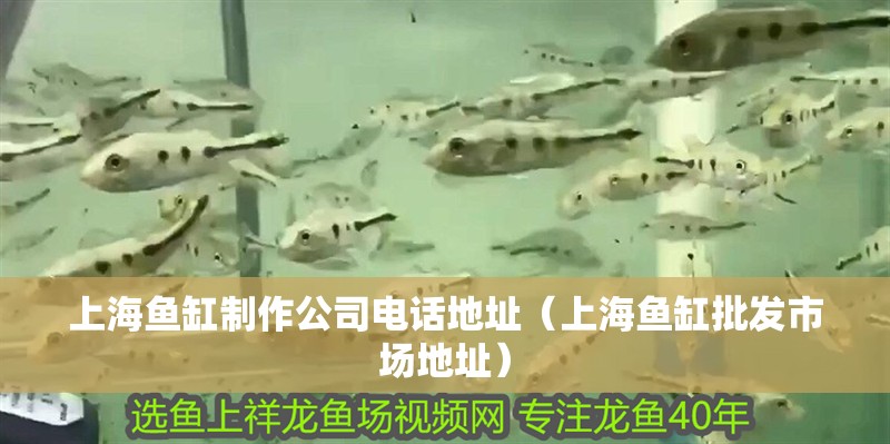<strong><mark>上海</mark></strong>魚缸制作公司電話地址（<strong><mark>上海</mark></strong>魚缸批發市場地址）
