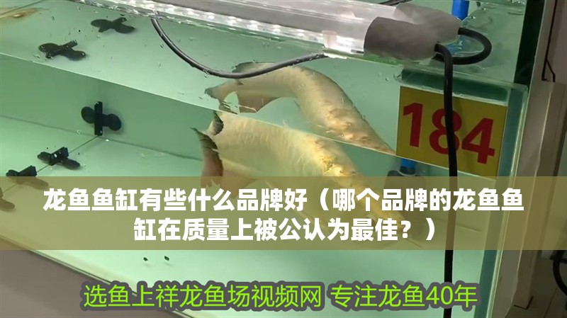 龍魚魚缸有些什么品牌好（哪個品牌的龍魚魚缸在質量上被公認為最佳？）