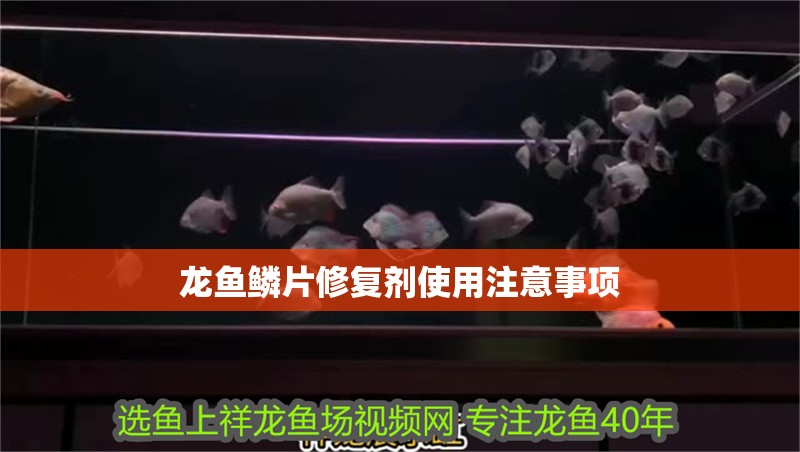 龍魚鱗片修復劑使用注意事項