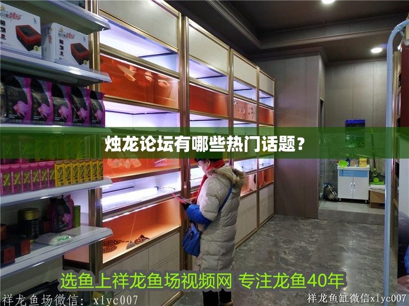燭龍論壇有哪些熱門話題？