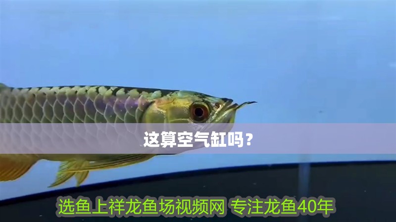 這算空氣缸嗎？