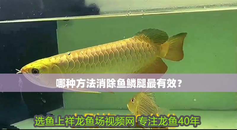 哪種方法消除魚鱗腿最有效？