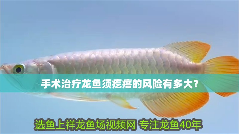 手術(shù)治療龍魚須疙瘩的風險有多大？