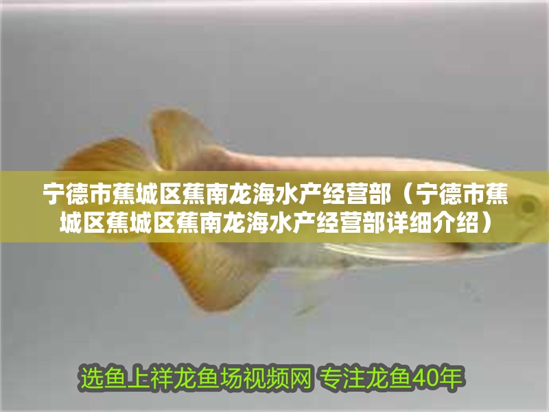 寧德市蕉城區蕉南龍海水產經營部（寧德市蕉城區蕉城區蕉南龍海水產經營部詳細介紹）