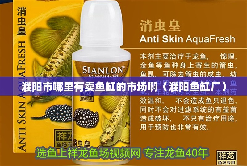 濮陽市哪里有賣魚缸的市場啊（濮陽魚缸廠）