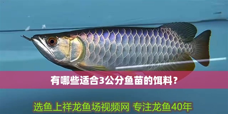 有哪些適合3公分魚苗的餌料？