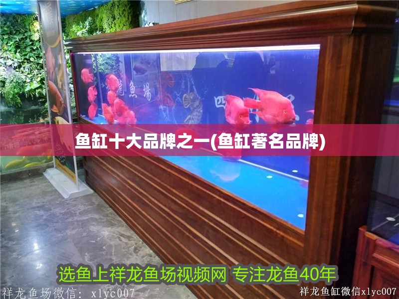 魚缸十大品牌之一(魚缸著名品牌)