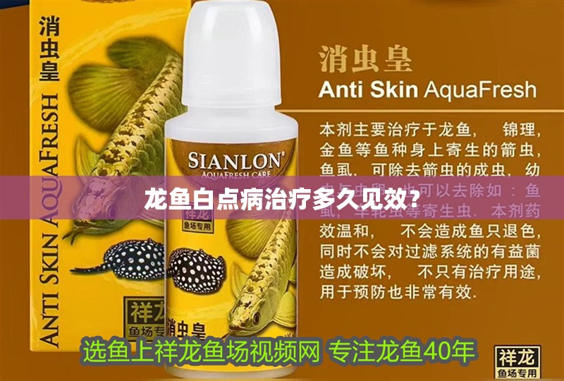 龍魚白點病治療多久見效？