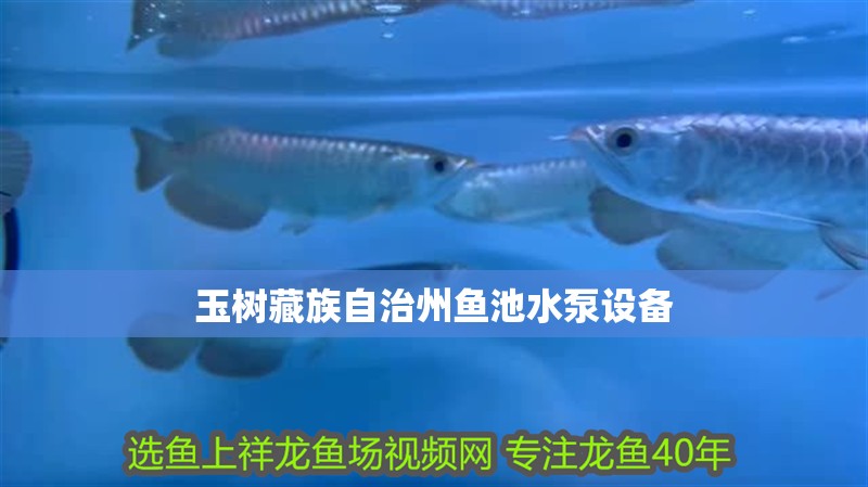 玉樹藏族自治州魚池水泵設(shè)備