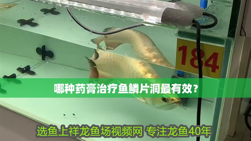 哪種藥膏治療魚鱗片洞最有效？