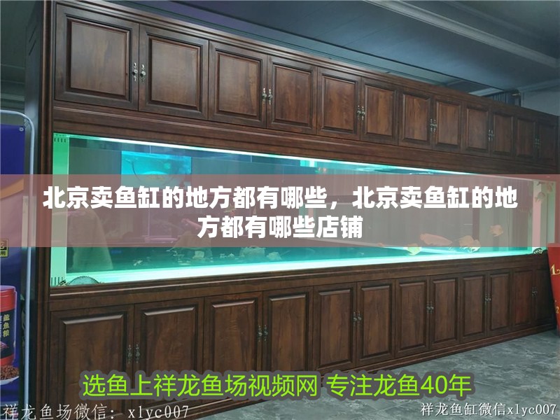 北京賣魚缸的地方都有哪些，北京賣魚缸的地方都有哪些店鋪