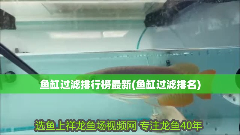 魚缸過濾排行榜最新(魚缸過濾排名)
