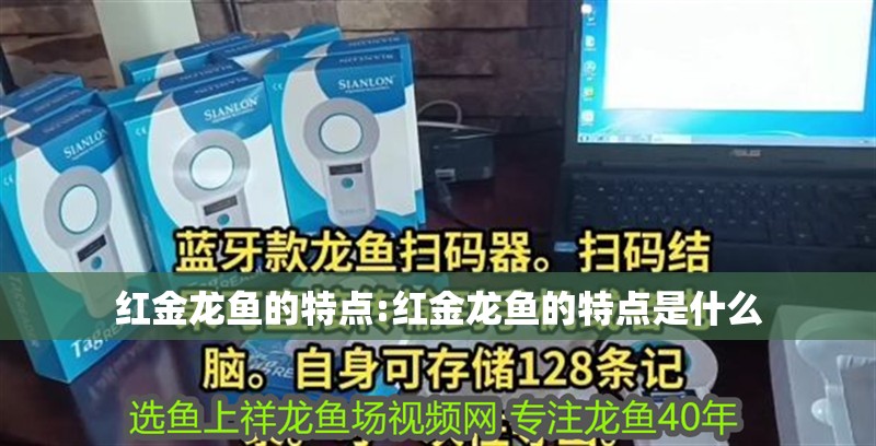 紅金龍魚的特點:紅金龍魚的特點是什么
