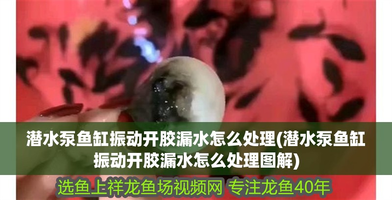 潛水泵魚缸振動開膠漏水怎么處理(潛水泵魚缸振動開膠漏水怎么處理圖解)