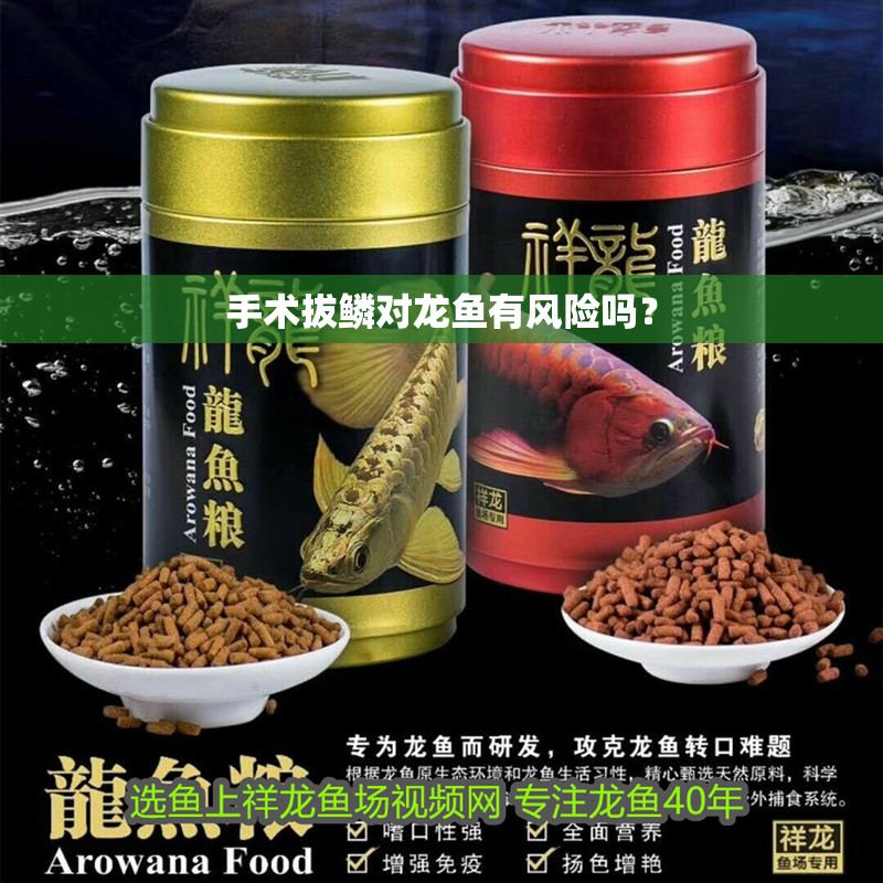 手術拔鱗對龍魚有風險嗎？