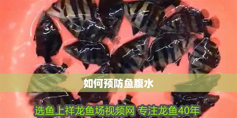 如何預防魚腹水