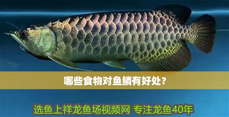 哪些食物對魚鱗有好處？