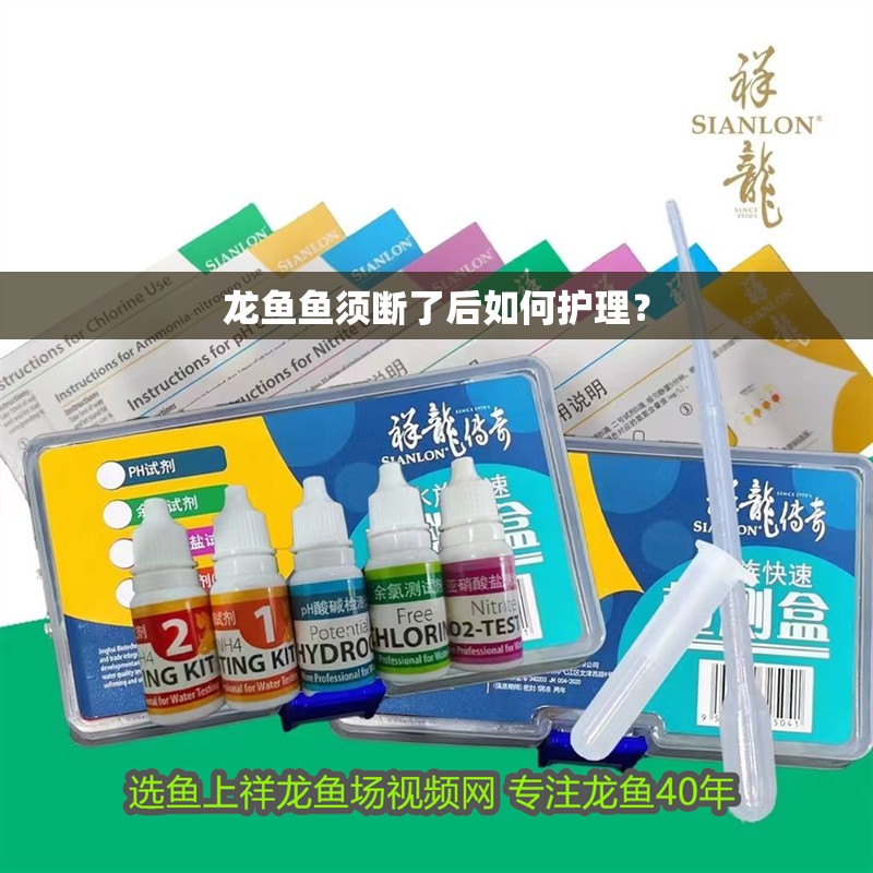 龍魚魚須斷了后如何護理？