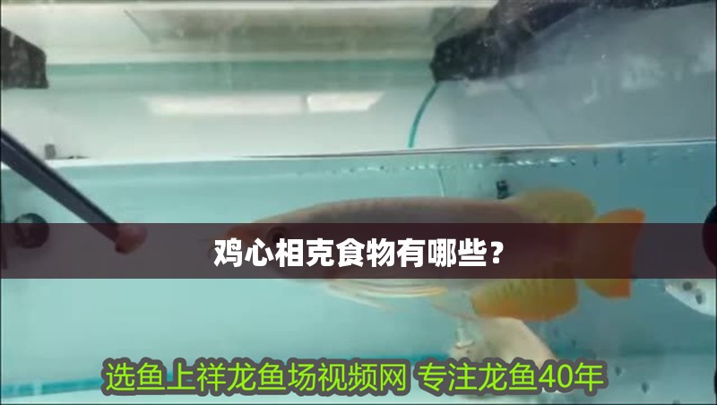 雞心相克食物有哪些？