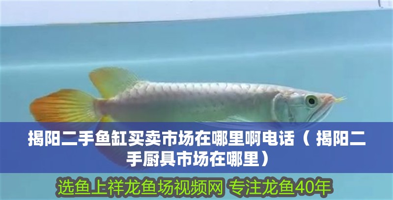 揭陽二手魚缸買賣市場在哪里啊電話（ 揭陽二手廚具市場在哪里）