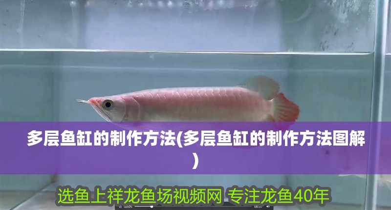 多層魚缸的制作方法(多層魚缸的制作方法圖解)