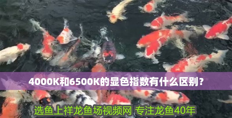 4000K和6500K的顯色指數有什么區別？