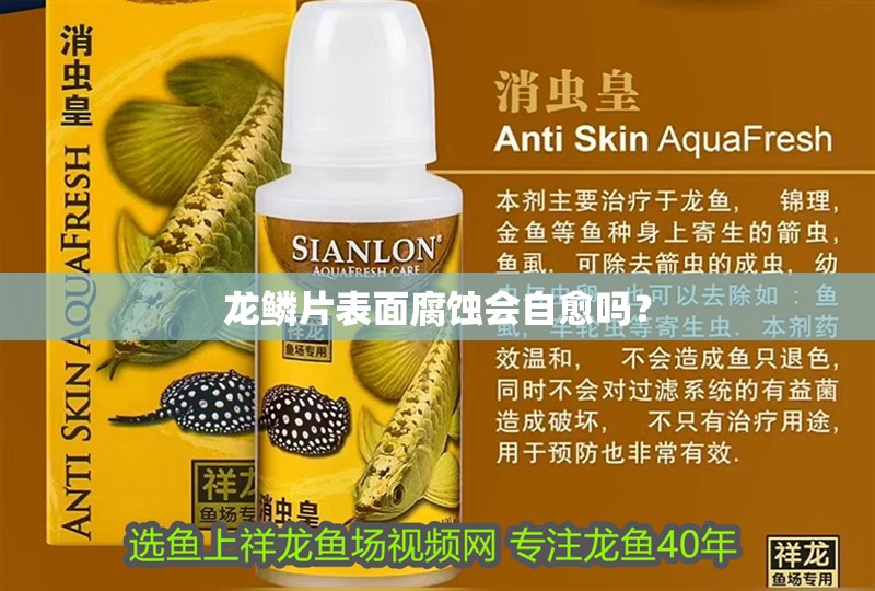 龍鱗片表面腐蝕會自愈嗎？