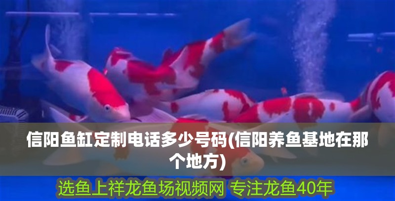 信陽魚缸定制電話多少號碼(信陽養魚基地在那個地方)