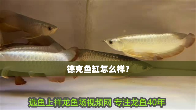 德克魚缸怎么樣？