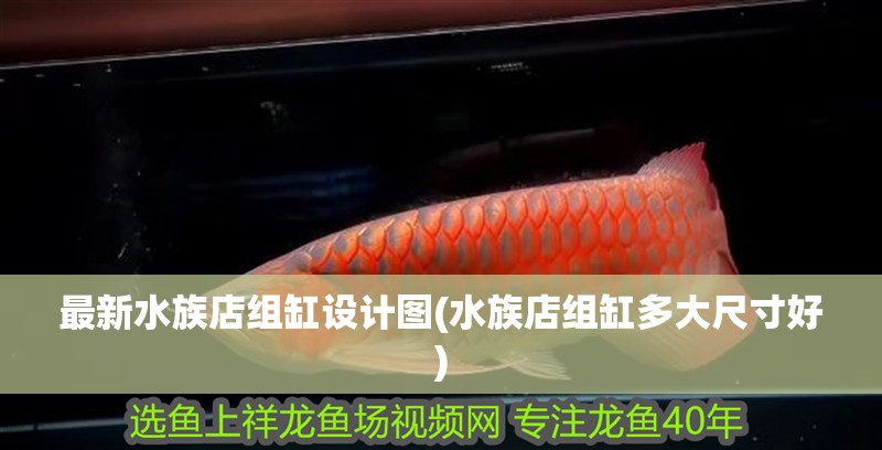 最新水族店組缸設計圖(水族店組缸多大尺寸好) 最新水族店組缸設計圖(水族店組缸多大尺寸好) 觀賞魚百科