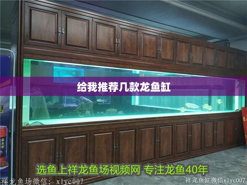 給我推薦幾款龍魚缸