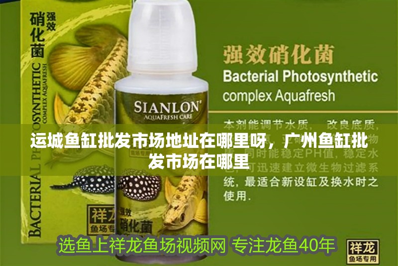 運城魚缸批發市場地址在哪里呀，廣州魚缸批發市場在哪里
