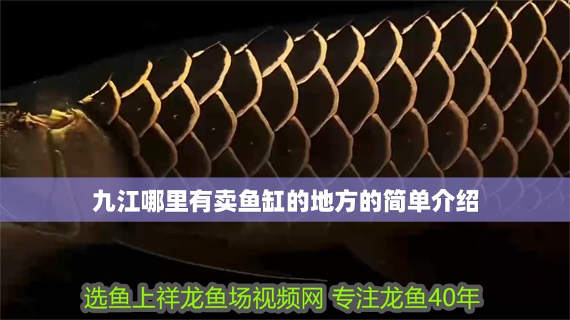<strong><mark>九江</mark></strong>哪里有賣魚缸的地方的簡單介紹