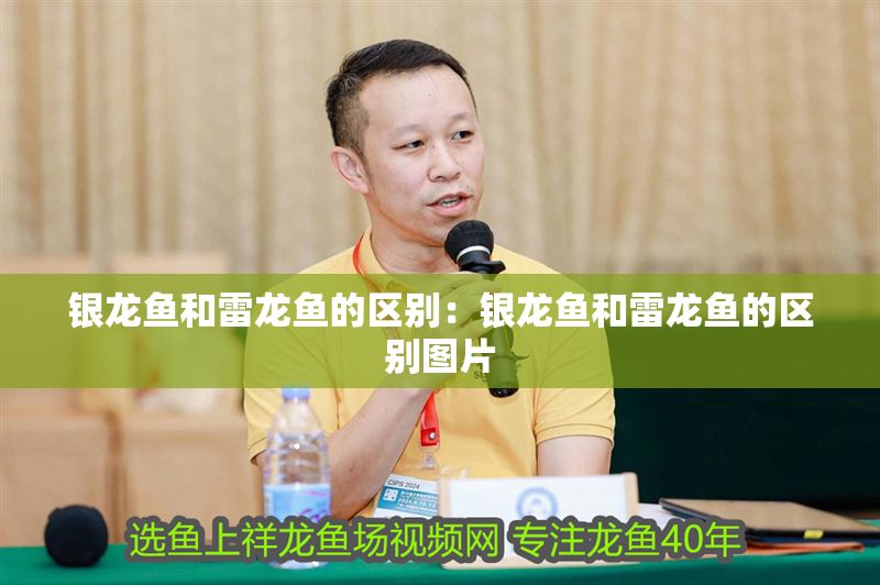 銀龍魚和雷龍魚的區別：銀龍魚和雷龍魚的區別圖片